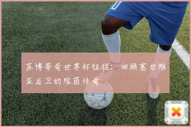 苏博蒂奇世界杯征程:回顾塞尔维亚后卫的绿茵传奇
