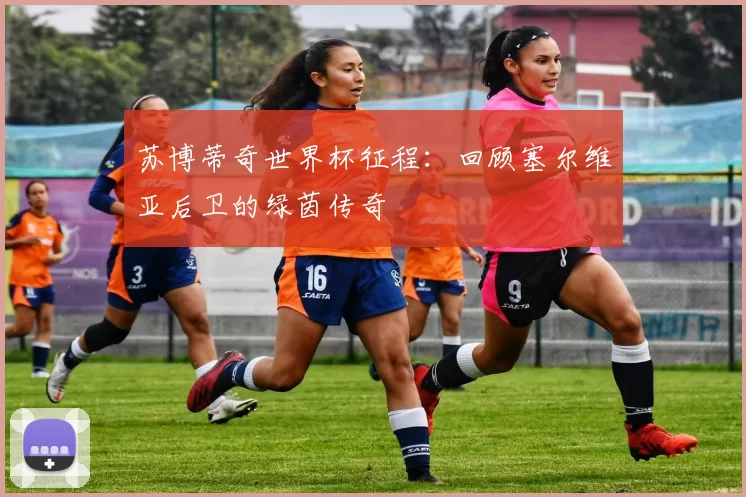苏博蒂奇世界杯征程:回顾塞尔维亚后卫的绿茵传奇