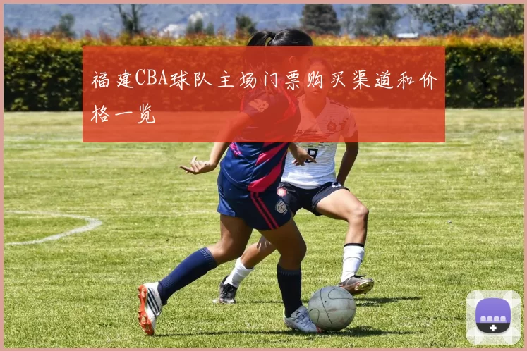 福建CBA球队主场门票购买渠道和价格一览