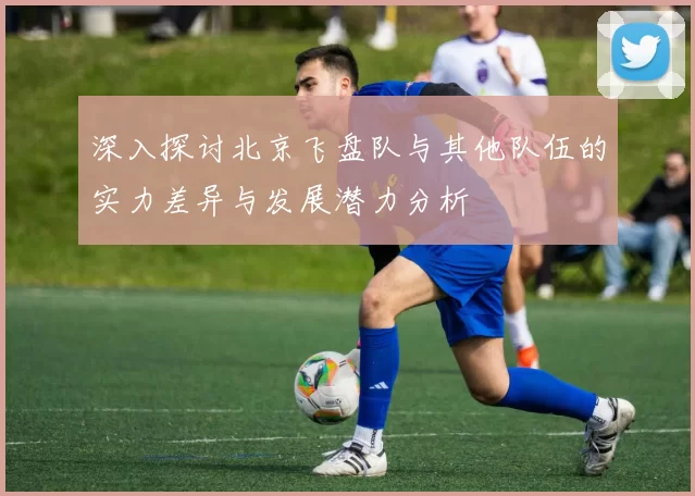 深入探讨北京飞盘队与其他队伍的实力差异与发展潜力分析