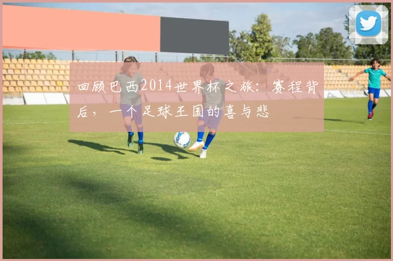 回顾巴西2014世界杯之旅:赛程背后,一个足球王国的喜与悲