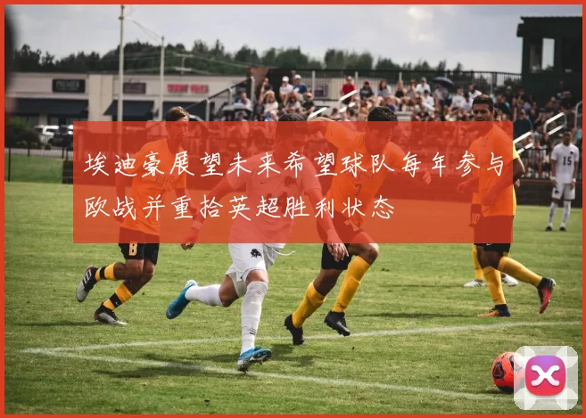 埃迪豪展望未来希望球队每年参与欧战并重拾英超胜利状态