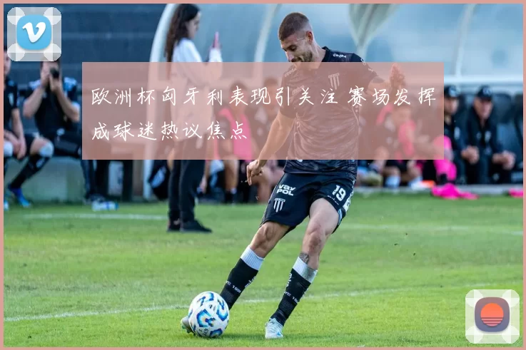 欧洲杯匈牙利表现引关注 赛场发挥成球迷热议焦点