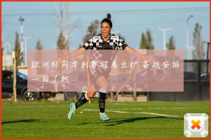 欧洲杯匈牙利赛程表出炉 备战安排一目了然