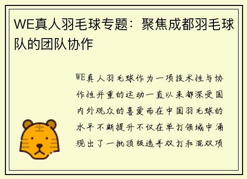 WE真人羽毛球专题：聚焦成都羽毛球队的团队协作